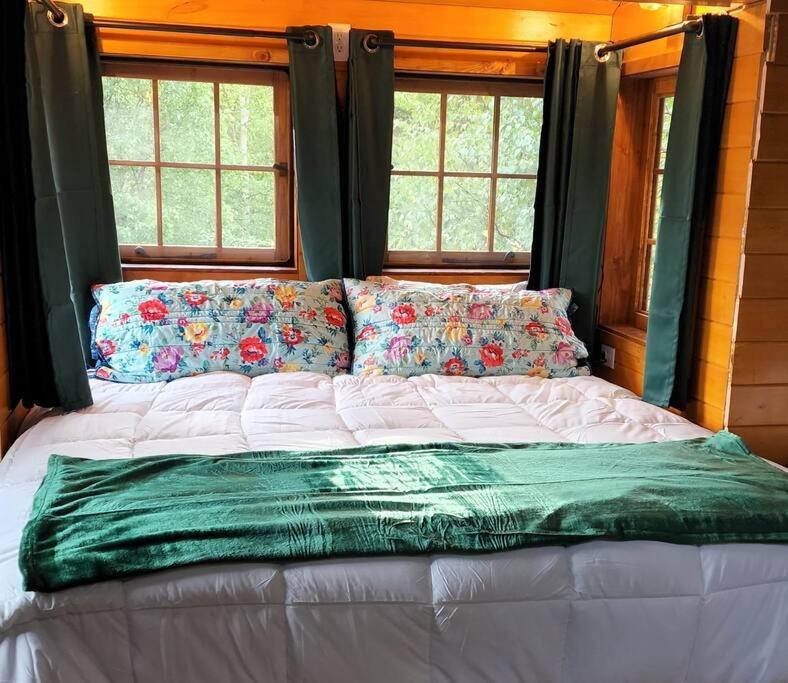 פלמר The Eagle'S Nest Treehouse Cabin מראה חיצוני תמונה
