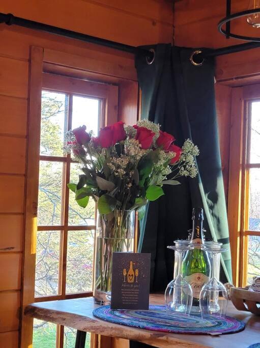 פלמר The Eagle'S Nest Treehouse Cabin מראה חיצוני תמונה